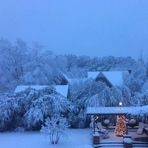 Meet your Posher, Becky